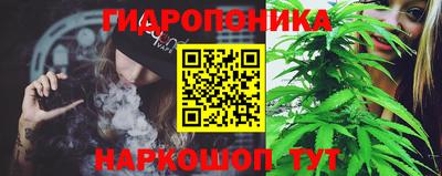 прущие крисы Балаково