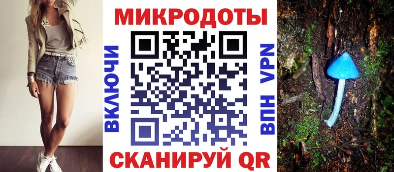 Галлюциногенные грибы Cubensis  Большой Камень 