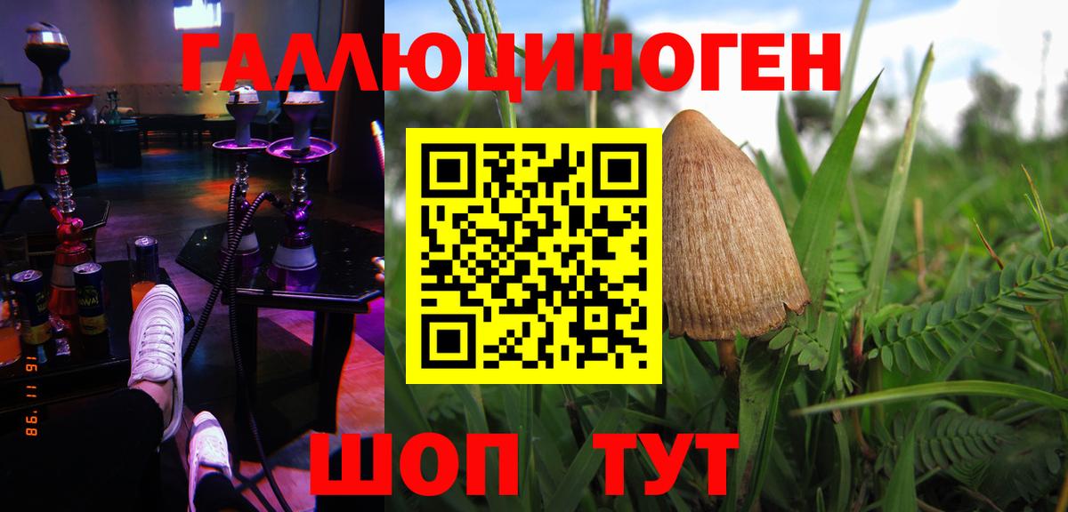 Галлюциногенные грибы Psilocybine cubensis Большой Камень
