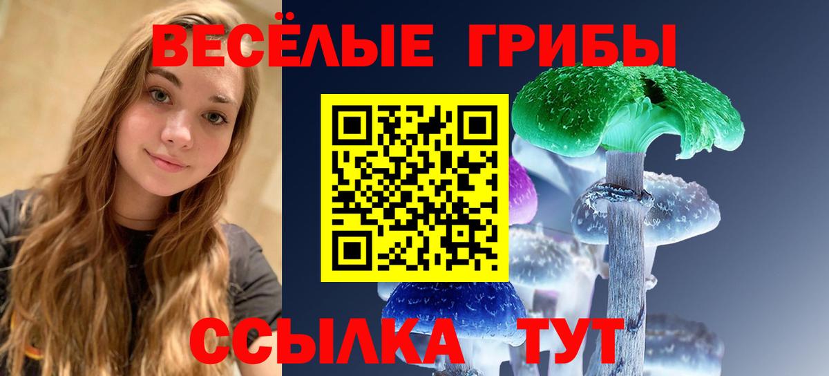 Псилоцибиновые грибы прущие грибы  Вход с VPN  Большой Камень 