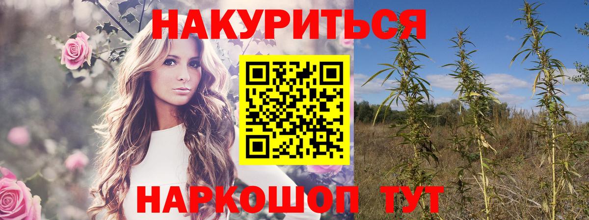 Каннабис план  Бошки марихуана OG Kush  Вход с VPN  Большой Камень 